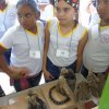 PET Vai À Escola - Visita ao Parque Florestal Mata De Cazuzinha